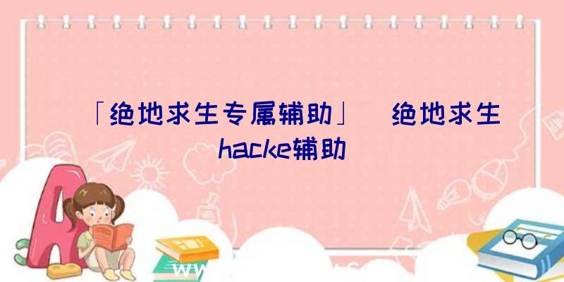 「绝地求生专属辅助」|绝地求生hacke辅助